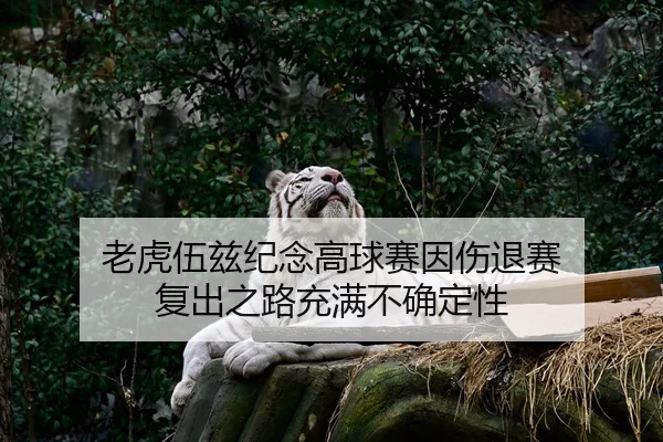 老虎伍兹纪念高球赛因伤退赛 复出之路充满不确定性