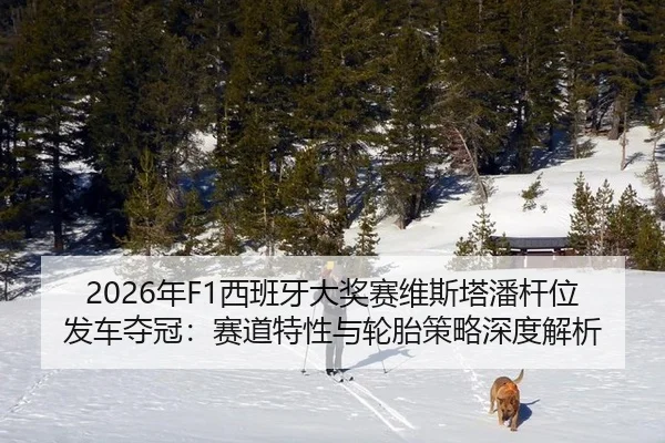 nian-xi-ban-ya-da-jiang-sai-wei-si-ta-pan-gan-wei-fa-che-duo-guan-sai-dao-te-xing-yu-lun-tai-ce-lve-shen-du-jie-xi-3-318.jpg