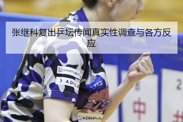 张继科复出乒坛传闻真实性调查与各方反应