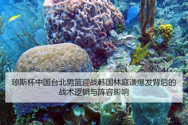 琼斯杯中国台北男篮迎战韩国林庭谦爆发背后的战术逻辑与阵容影响